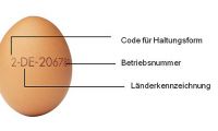 Für mehr Transparenz beim Eierkauf zu Ostern in Lübeck: AOK-Tipp: „Unbedingt auf Kennzeichnung achten“