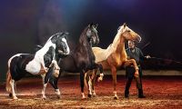 CAVALLUNA – Passion for Horses