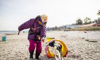 Hunde-Strand-Spiele in der Lübecker Bucht