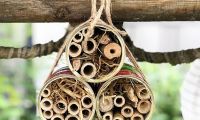 „Hotel Mutti“: Ein Urlaub für Bienen