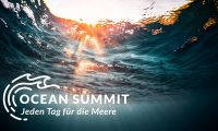 Ocean Summit LeseMeer im Dezember:Online-Lesungen zum Lauschen, Lernen und Lachen