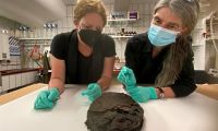 Die Lübecker Archäologie entdeckt Torte als Zeitzeuge des Luftangriffs